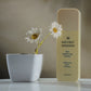 MEVRIS Glowing Deep Cleanser